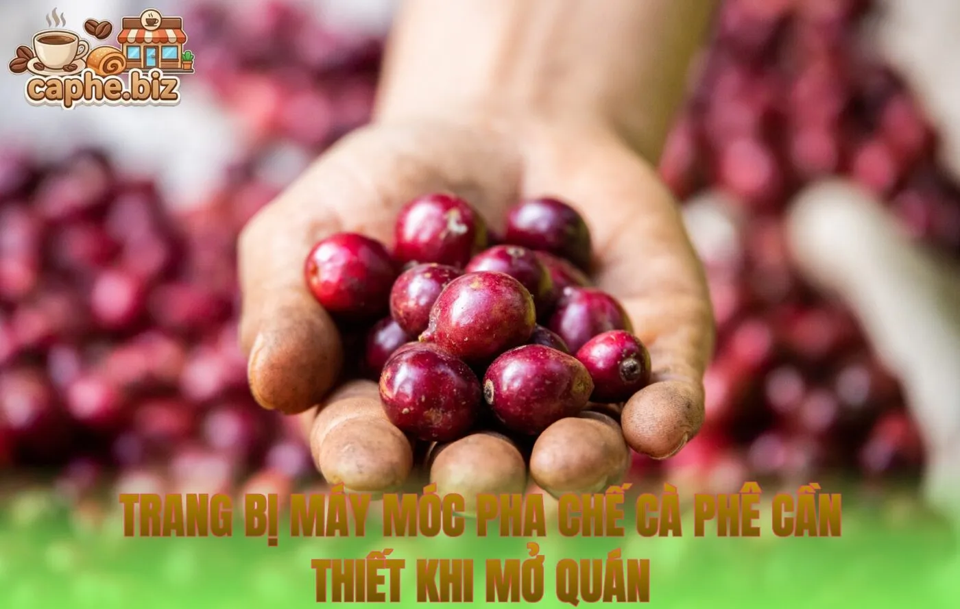 Trang bị máy móc pha chế cà phê cần thiết khi mở quán