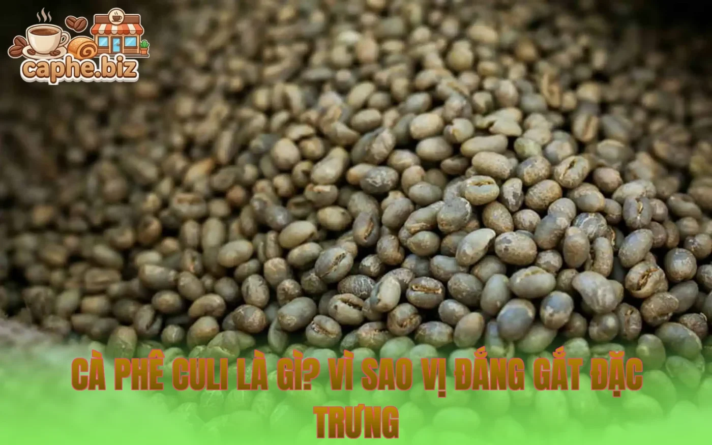 Cà Phê Culi Là Gì? Vì Sao Vị Đắng Gắt Đặc Trưng