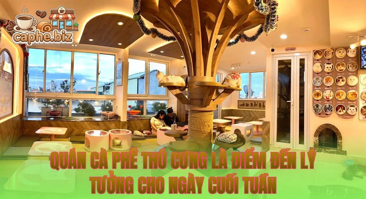 Quán cà phê thú cưng là điểm đến lý tưởng cho ngày cuối tuần