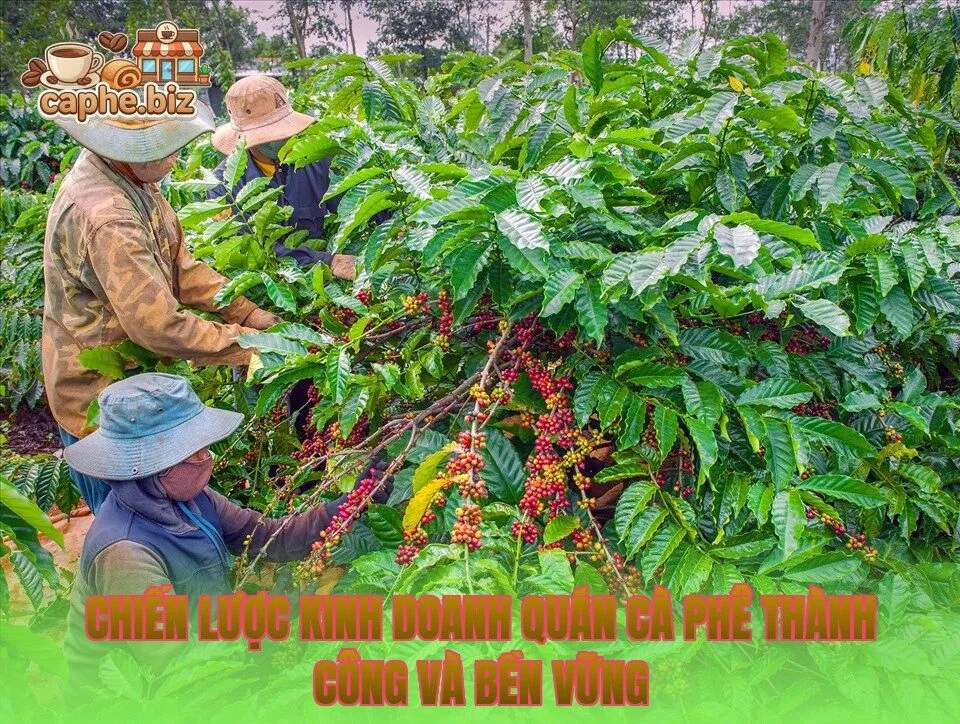 Chiến lược kinh doanh quán cà phê thành công và bền vững