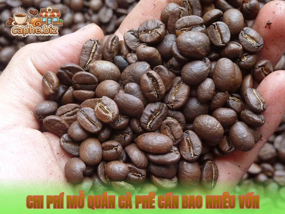 Chi Phí Mở Quán Cà Phê Cần Bao Nhiêu Vốn