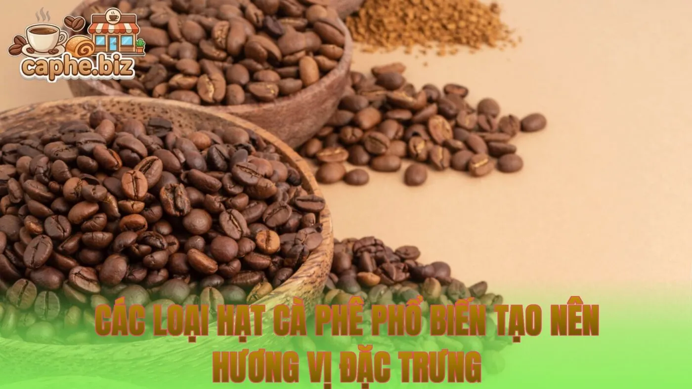 Các loại hạt cà phê phổ biến tạo nên hương vị đặc trưng