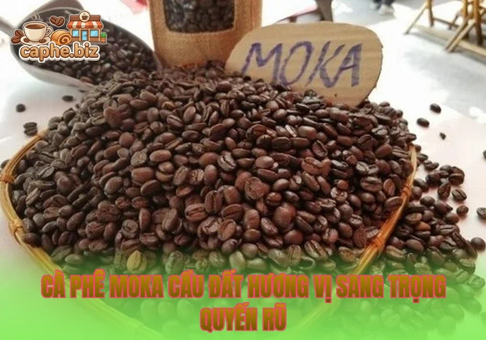 Cà Phê Moka Cầu Đất Hương Vị Sang Trọng Quyến Rũ