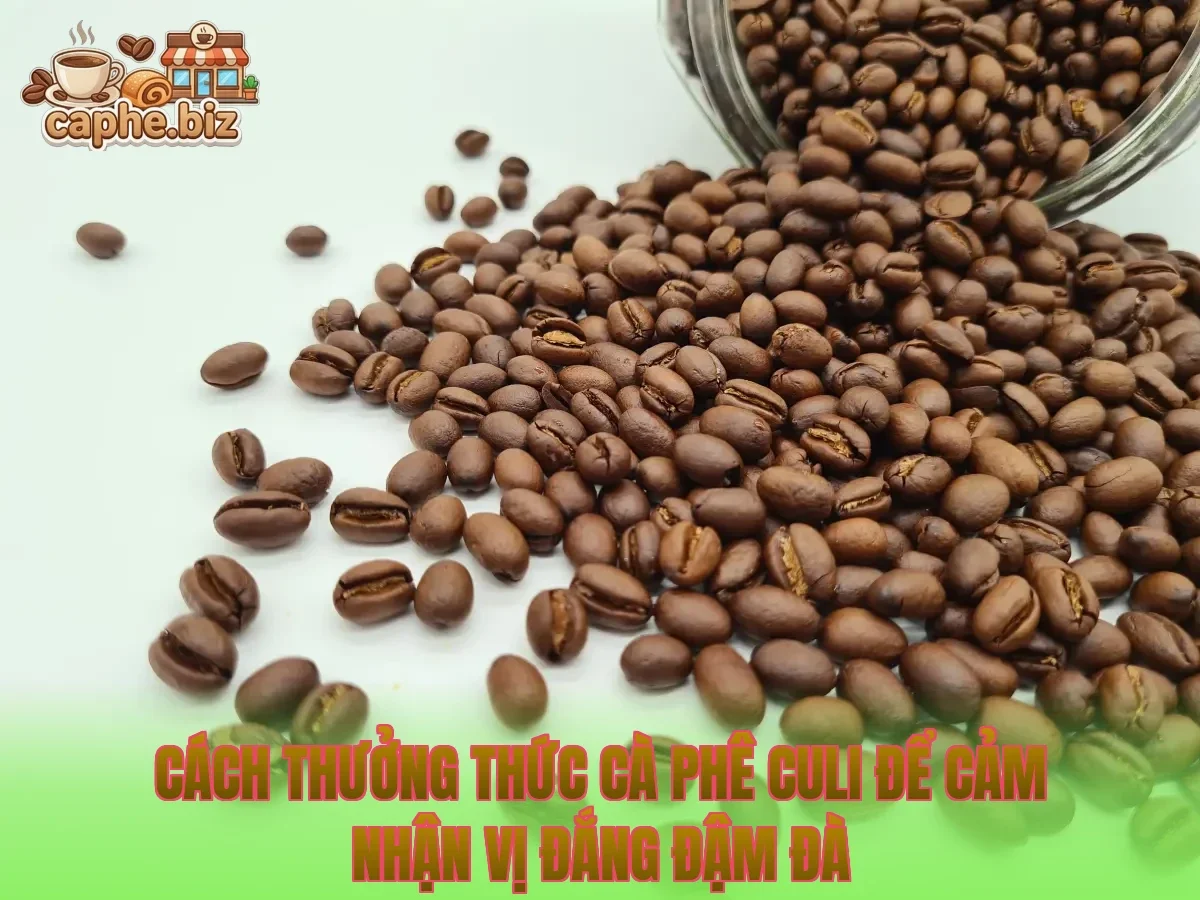 Cách thưởng thức cà phê culi để cảm nhận vị đắng đậm đà