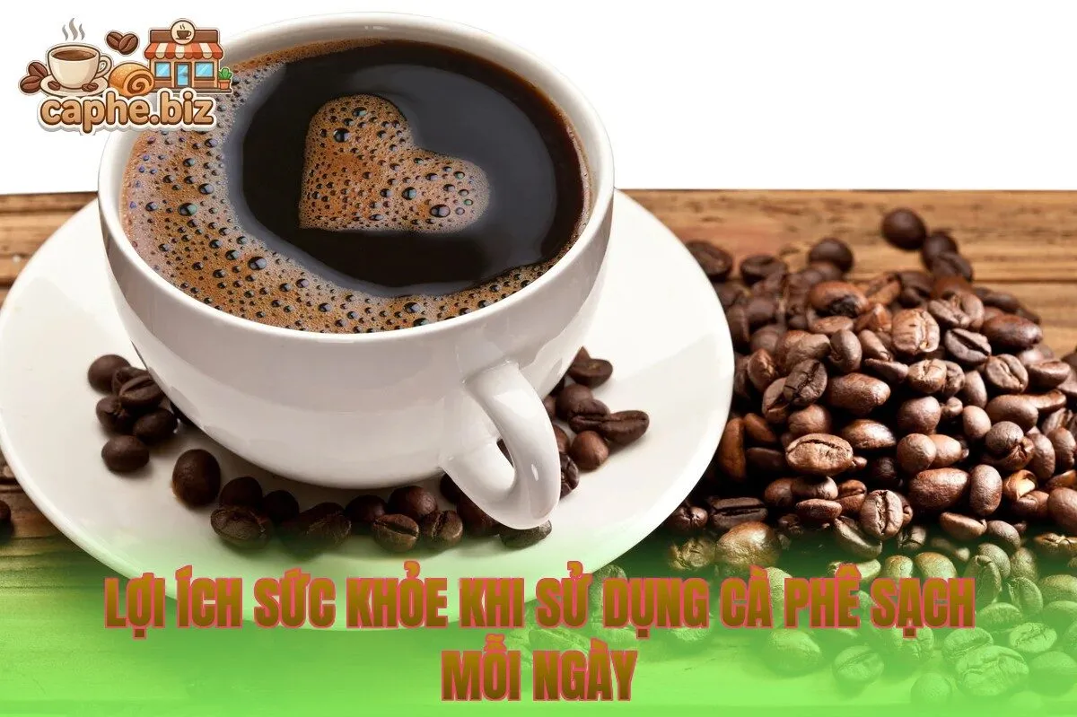 Lợi ích sức khỏe khi sử dụng cà phê sạch mỗi ngày
