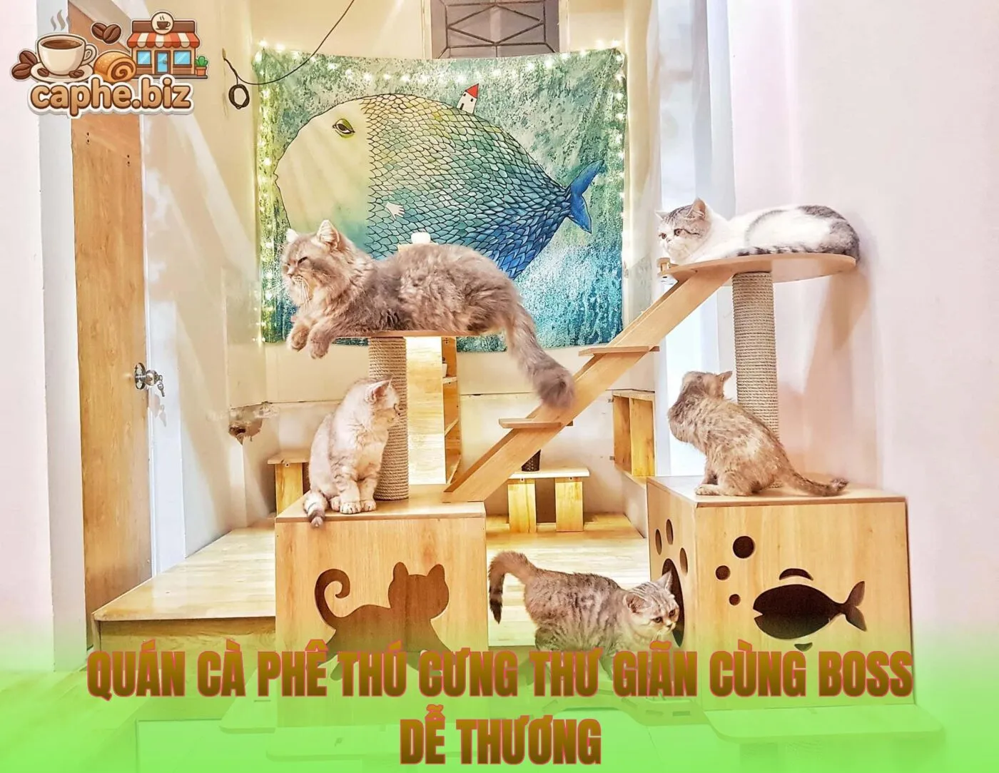 Quán Cà Phê Thú Cưng Thư Giãn Cùng Boss Dễ Thương