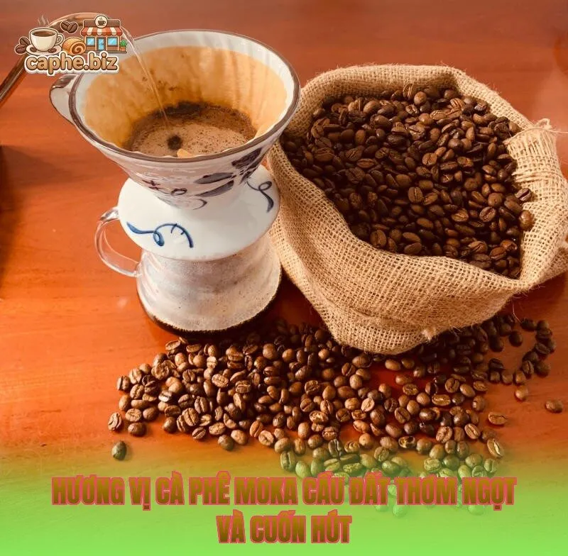 Hương vị cà phê moka Cầu Đất thơm ngọt và cuốn hút
