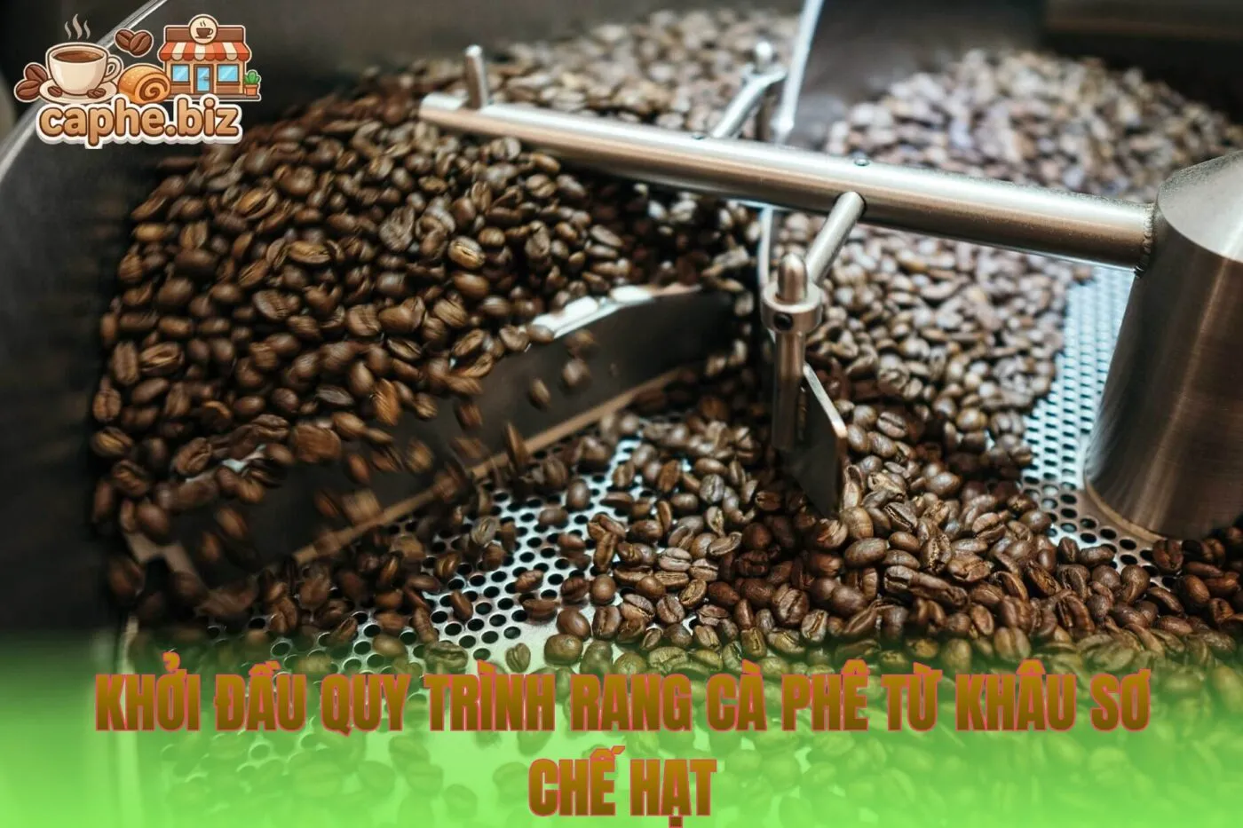 Khởi đầu quy trình rang cà phê từ khâu sơ chế hạt