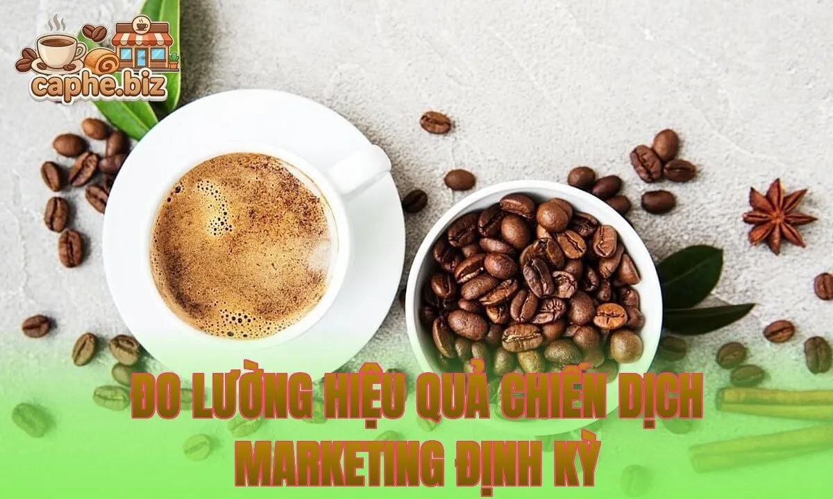Đo lường hiệu quả chiến dịch marketing định kỳ