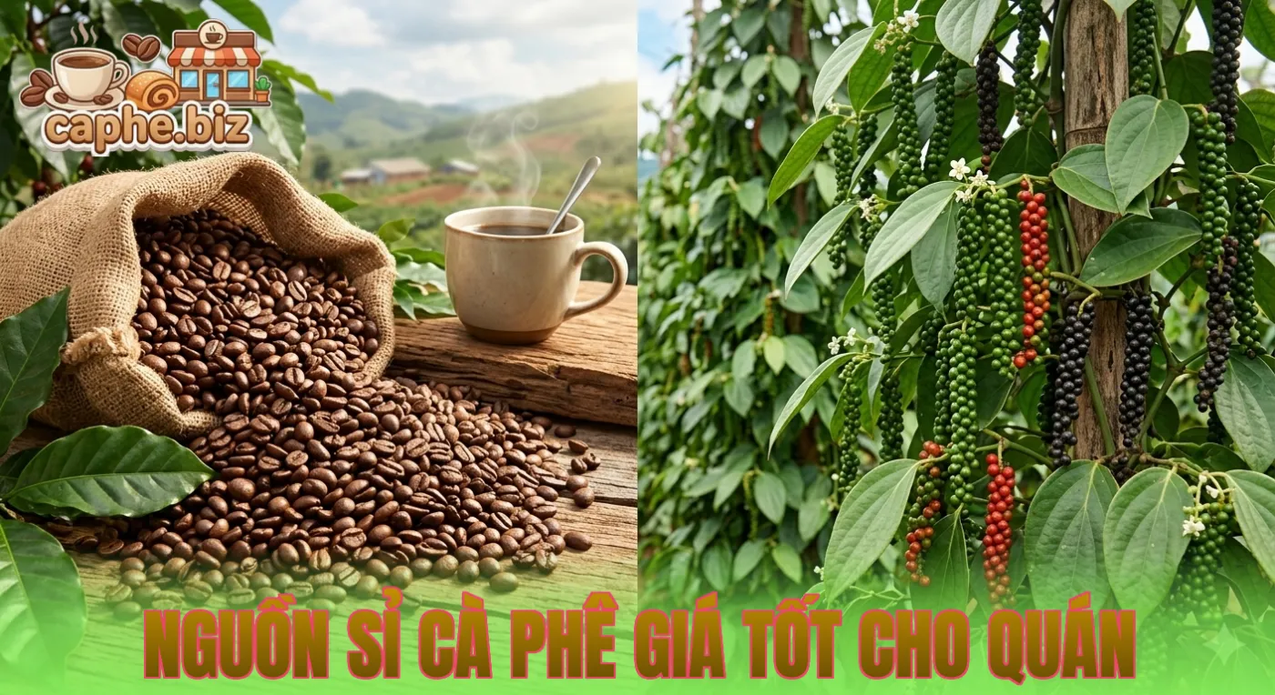 Nguồn Sỉ Cà Phê Giá Tốt Cho Quán