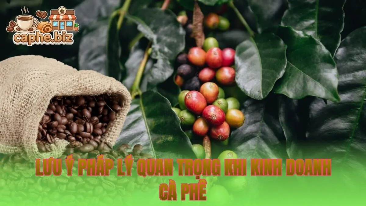 Lưu ý pháp lý quan trọng khi kinh doanh cà phê