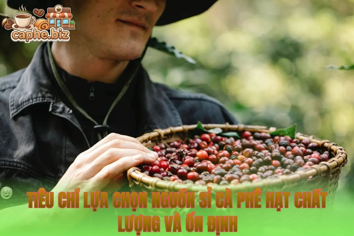 Tiêu chí lựa chọn nguồn sỉ cà phê hạt chất lượng và ổn định