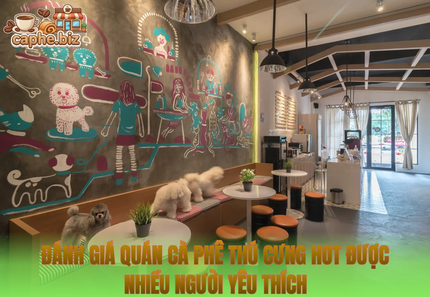 Đánh giá quán cà phê thú cưng hot được nhiều người yêu thích