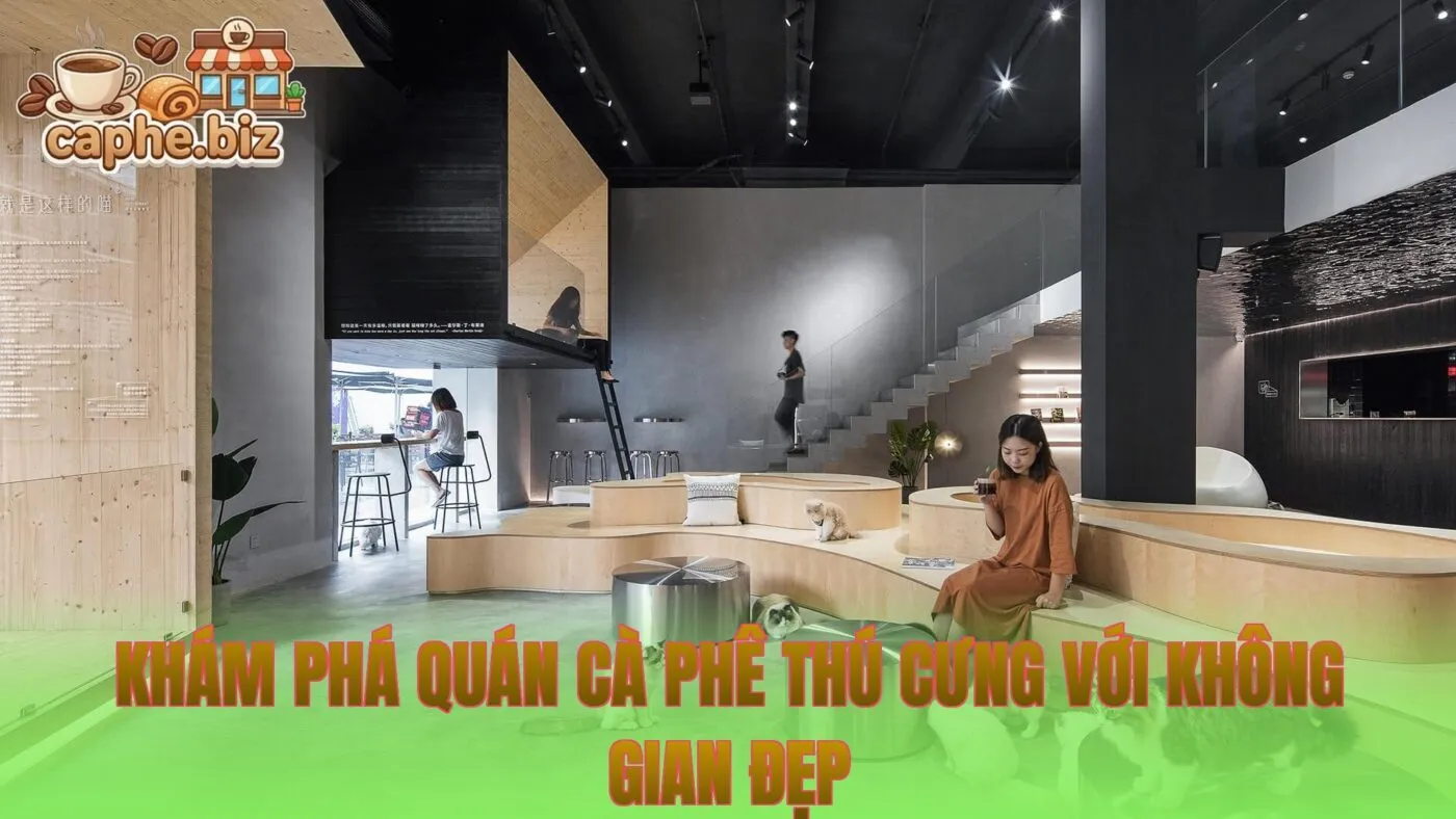 Khám phá quán cà phê thú cưng với không gian đẹp