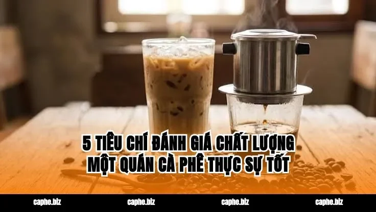 5 Tiêu Chí Đánh Giá Chất Lượng Một Quán Cà Phê Thực Sự Tốt