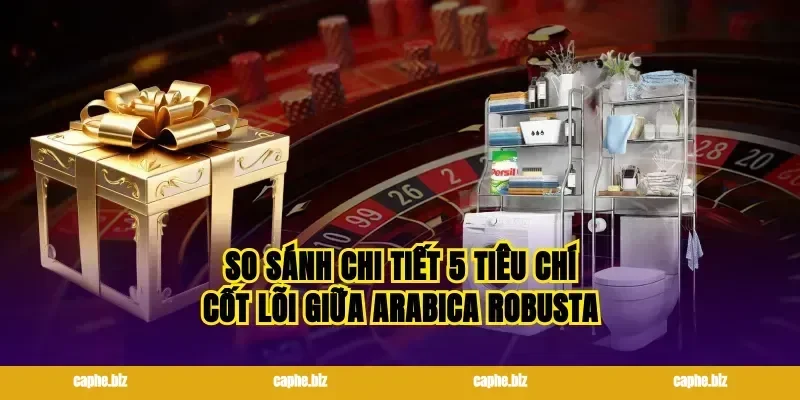 So sánh chi tiết 5 tiêu chí cốt lõi giữa arabica robusta