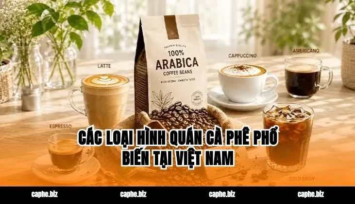 Các Loại Hình Quán Cà Phê Phổ Biến Tại Việt Nam