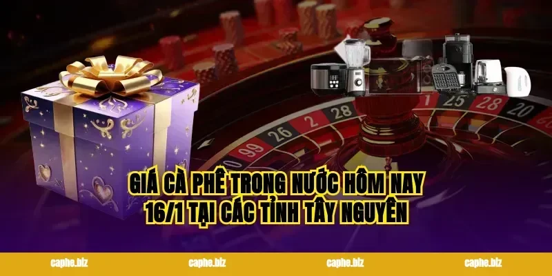 Giá cà phê trong nước hôm nay 16/1 tại các tỉnh Tây Nguyên