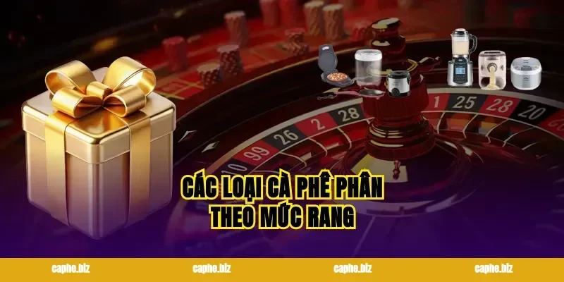 Các loại cà phê phân theo mức rang