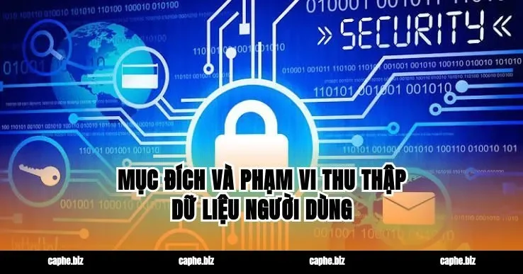 Mục đích và phạm vi thu thập dữ liệu người dùng
