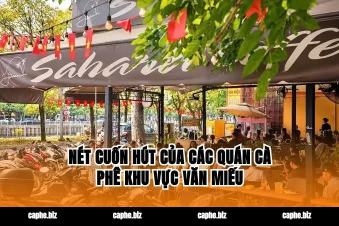 Nét cuốn hút của các quán cà phê khu vực văn miếu