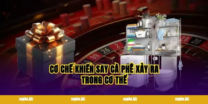 Cơ chế khiến say cà phê xảy ra trong cơ thể